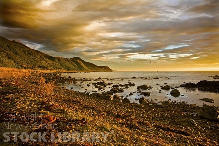 Paparoa Point;Sun Rise;Kaikoura Coast;Kaikoura;bush;native forest;seaward Kaikoura Range;green fields;paddocks;brown hills;hills;mountains;rivers;ocean;pacific ocean;coast road;road;rail line;rocky shoreline;sea;sea wall;cray boat;cray fishermen