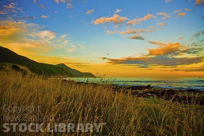 Kaikoura Coast;Kaikoura;bush;native forest;seaward Kaikoura Range;green fields;paddocks;brown hills;hills;mountains;rivers;ocean;pacific ocean;coast road;road;rail line;rocky shoreline;sea;sea wall;Long Grass;Sun Set;seaward Kaikoura Range