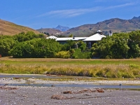 The_Store_At_Kekerengu;Kaikoura_Coast;Kaikoura;bush;native_forest;seaward_Kaikou