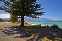 Kaikoura;Kaikoura_Peninsula;seaward_Kaikoura_Range;green_fields;paddocks;brown_h