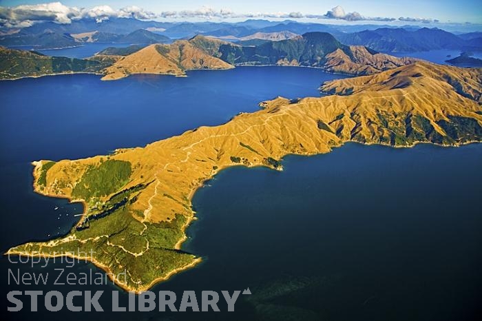 Aerial;Marlborough Sounds;Marlborough;bush;native forrest;hills;mountains;French Pass;Admirals Bay;French Pass Township