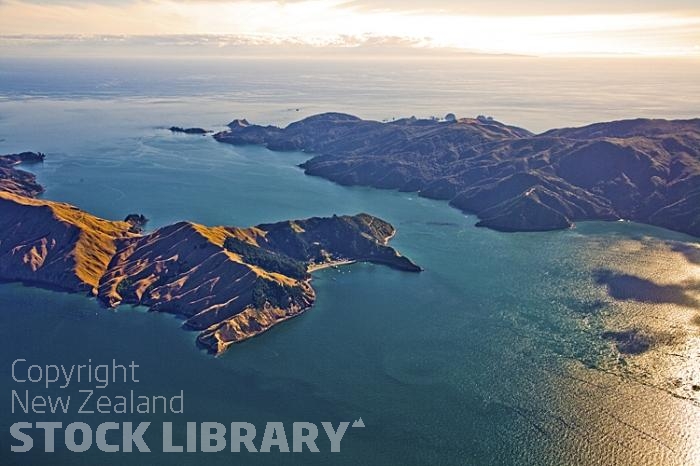 Aerial;Marlborough Sounds;Marlborough;bush;native forrest;hills;mountains;French Pass