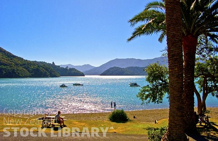 Aerial;Marlborough Sounds;Marlborough;bush;native forrest;hills;mountains;Kenepuru Sound;Portage lodge