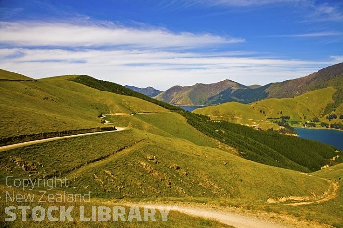 Marlborough Sounds;Marlborough;bush;native forrest;hills;mountains;Winding Road;Cissy Bay;forestry;forestry plantation