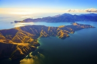 Aerial;Marlborough_Sounds;Marlborough;bush;native_forrest;hills;mountains;Admira