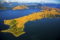 Aerial;Marlborough_Sounds;Marlborough;bush;native_forrest;hills;mountains;French