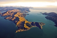 Aerial;Marlborough_Sounds;Marlborough;bush;native_forrest;hills;mountains;French