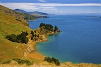 Aerial;Marlborough_Sounds;Marlborough;bush;native_forrest;hills;mountains;Curren