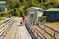 Marlborough_Sounds;Marlborough;bush;native_forrest;hills;mountains;French_Pass_w