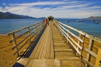 Marlborough_Sounds;Marlborough;bush;native_forrest;hills;mountains;French_Pass;J