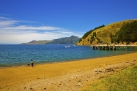 Marlborough_Sounds;Marlborough;bush;native_forrest;hills;mountains;French_Pass_J