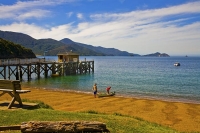 Aerial;Marlborough_Sounds;Marlborough;bush;native_forrest;hills;mountains;French