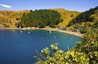 Marlborough_Sounds;Marlborough;bush;native_forrest;hills;mountains;French_Pass_s