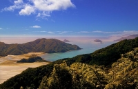 Marlborough_Sounds;Marlborough;bush;native_forrest;hills;mountains;Okiwi_Bay