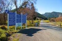 Board;Marlborough_Sounds;Marlborough;bush;native_forrest;hills;mountains;Informa