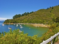 Marlborough_Sounds;Marlborough;bush;native_forrest;hills;mountains;Momorangi_Bay