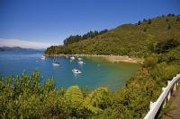 Marlborough_Sounds;Marlborough;bush;native_forrest;hills;mountains;Momorangi_Bay