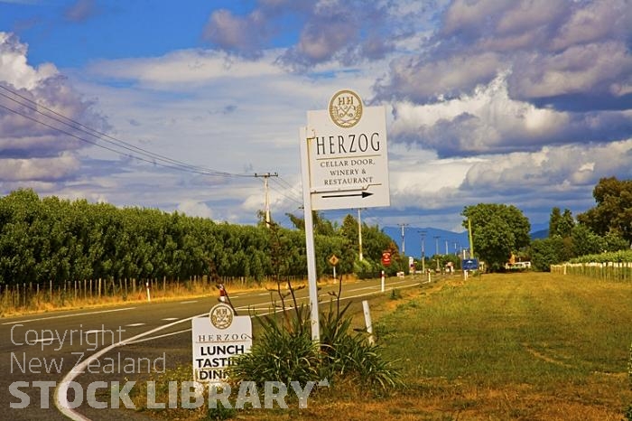 Vineyards;Marleborough;Wairau Plains;vines;vintners;grapes;Herzog