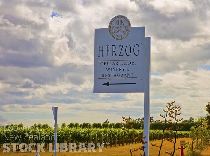 Vineyards;Marleborough;Wairau Plains;vines;vintners;grapes;Herzog