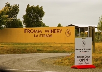 Vineyards;Marleborough;Wairau_Plains;vines;vintners;grapes;Fromm_Winery;La_Strad