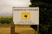 Vineyards;Marleborough;Wairau_Plains;vines;vintners;grapes;Jackson_Estate;Homest