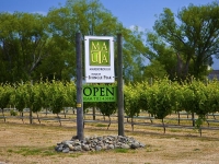 Vineyards;Marlborough;Wairau_Plains;vines;vintners;grapes;Matua_Shingle_Peak