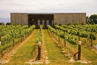 Vineyards;Marlborough;Wairau_Plains;vines;vintners;grapes;Mount_Riley_Winery