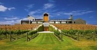 Vineyards;Marlborough;Wairau_Plains;vines;vintners;grapes;Wither_Hills_Winery