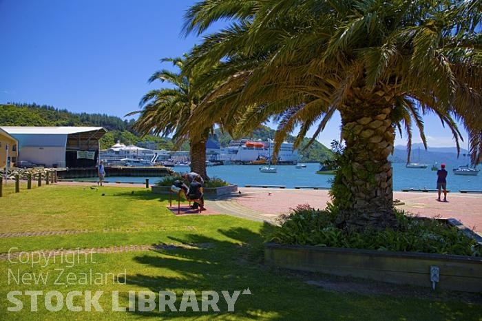 Picton;Marlborough Sounds;Marlborough;bush;native forrest;Interislander;prepares;depart;Picton Harbour;Palm tree;Edwin Fox