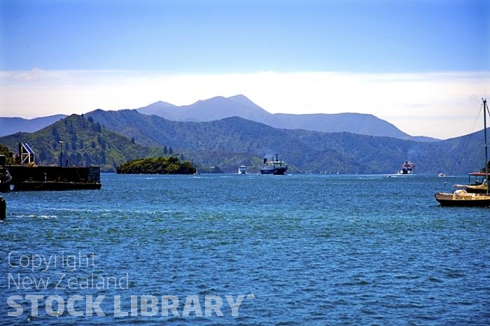 Picton;Marlborough Sounds;Marlborough;bush;native forrest;hills;mountains;Ferries;ply;Queen Charlotte;Sound