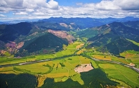 Aerial;Rai_Valley;Pelorus_River;Marlborough;Rai_Valley_Township;bush;native_forr