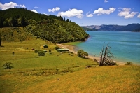 Aerial;Wairau_Plains_and_Coast;Marlborough;vineyards;braided_rivers;Kakapo_Bay;f