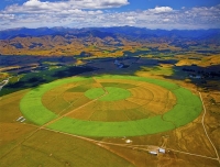 Aerial;Wairau_Valley;Marleborough;bush;native_forrest;irrigation_canal;irrigatio