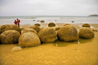 Moeraki;Otago;Yellow_Eyed_Penguins;Moeraki_Boulders;tourists