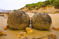 Moeraki;Otago;Yellow_Eyed_Penguins;Moeraki_Boulders;tourists