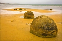 Moeraki;Otago;Yellow_Eyed_Penguins;Moeraki_Boulders;tourists