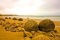 Moeraki;Otago;Yellow_Eyed_Penguins;Moeraki_Boulders;tourists