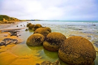 Moeraki;Otago;Yellow_Eyed_Penguins;Moeraki_Boulders;tourists