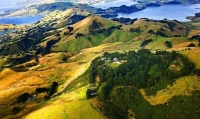 Aerial;Dunedin;Otago_Peninsula;Otago;university_city;university;harbour;golden_s