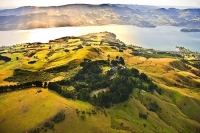 Aerial;Otago_Peninsula;Otago;harbour;golden_sands;Larnach_Castle;golden_light