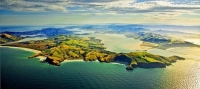 Aerial;Dunedin;Otago_Peninsula;Otago;university_city;university;harbour;golden_s