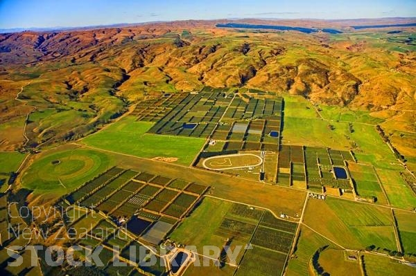 Aerial;Roxburgh;Otago;lake Roxburgh;Clutha River;church;churches;fruit growing;hydro generated electricity;hydro electricity;hydro dam;hydro lake