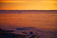 Bluff;Southland;Going_Fishing;fishing_boat;Fish;pier;long_pier;dawn_sky