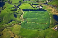 Aerial;The_Catlins;Southland;hills;rivers;Road;bush;native_forrest;green_fields;