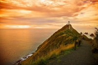 The_Catlins;Southland;hills;rivers;Road;bush;native_forrest;green_fields;green_p