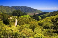 Totaranui;Able_Tasman_National_Park;Tasman_Bay;sand_dunes;sandy_beaches;rocky_sh