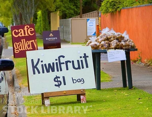 Motueka;Moutere;Mapua;Tasman Bay;Kiwi fruit stall;honesty box