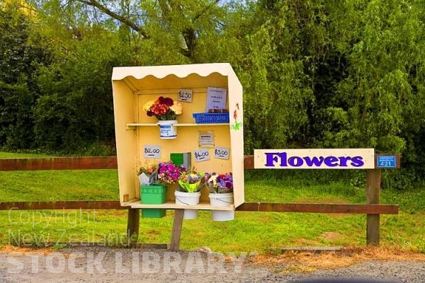 Motueka;Moutere;Mapua;Flower Stall;honesty box;Flowers for sale