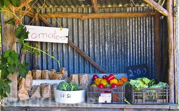 Motueka;Moutere;Mapua;Tasman Bay;Mapua produce stall;Mapua;produce stall;Mapua;produce;stall