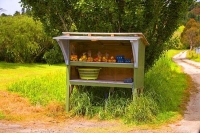 Motueka;Moutere;Mapua;Tasman_Bay;Honesty_box;apple_stall;produce_stall;orchard;o